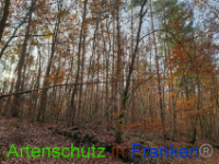 Bild zum Eintrag (1037232-177)