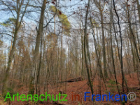 Bild zum Eintrag (1037237-177)