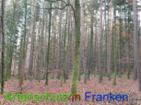 Bild zum Eintrag (1037244-177)