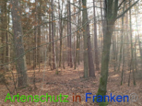 Bild zum Eintrag (1037245-177)