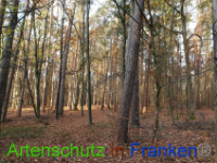 Bild zum Eintrag (1037246-177)