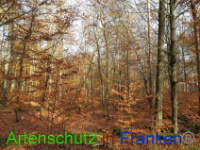 Bild zum Eintrag (1037251-177)