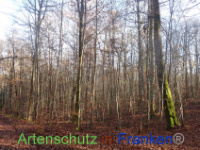 Bild zum Eintrag (1037642-177)