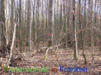 Bild zum Eintrag (1037643-177)