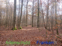 Bild zum Eintrag (1037645-177)