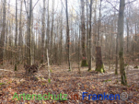 Bild zum Eintrag (1037646-177)