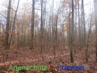 Bild zum Eintrag (1037647-177)