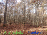 Bild zum Eintrag (1037648-177)