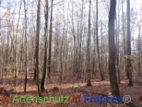 Bild zum Eintrag (1037651-177)