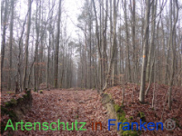 Bild zum Eintrag (1038280-177)