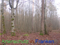 Bild zum Eintrag (1038282-177)