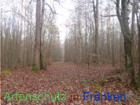 Bild zum Eintrag (1038283-177)