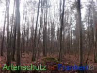 Bild zum Eintrag (1038284-177)