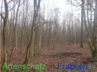 Bild zum Eintrag (1038286-177)