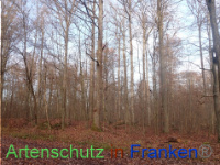 Bild zum Eintrag (1038287-177)