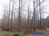 Bild zum Eintrag (1038291-177)