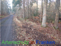 Bild zum Eintrag (1038300-177)