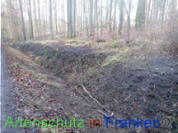 Bild zum Eintrag (1038304-177)