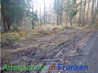 Bild zum Eintrag (1038310-177)