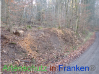 Bild zum Eintrag (1038320-177)