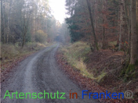 Bild zum Eintrag (1038321-177)