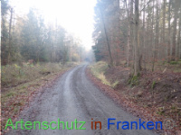 Bild zum Eintrag (1038322-177)