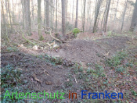 Bild zum Eintrag (1038324-177)