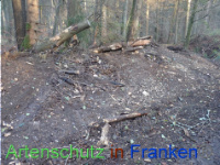 Bild zum Eintrag (1038332-177)