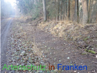 Bild zum Eintrag (1038333-177)