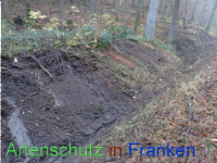 Bild zum Eintrag (1038338-177)