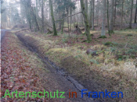 Bild zum Eintrag (1038339-177)