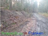 Bild zum Eintrag (1038341-177)