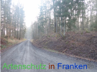 Bild zum Eintrag (1038344-177)