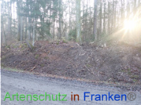 Bild zum Eintrag (1038345-177)