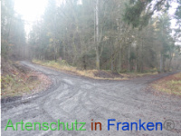 Bild zum Eintrag (1038346-177)