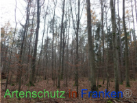 Bild zum Eintrag (1038400-177)