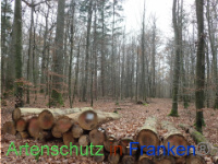 Bild zum Eintrag (1038408-177)