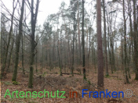 Bild zum Eintrag (1038409-177)