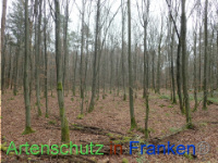 Bild zum Eintrag (1038410-177)
