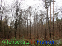 Bild zum Eintrag (1038412-177)