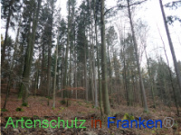 Bild zum Eintrag (1038414-177)