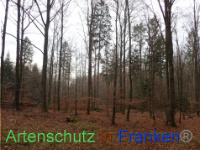 Bild zum Eintrag (1038416-177)