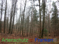 Bild zum Eintrag (1038417-177)