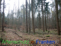 Bild zum Eintrag (1038421-177)