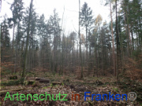 Bild zum Eintrag (1038422-177)