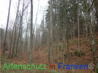 Bild zum Eintrag (1038426-177)