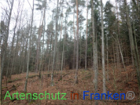 Bild zum Eintrag (1038430-177)