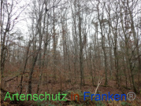 Bild zum Eintrag (1038432-177)