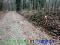 Bild zum Eintrag (1038447-177)