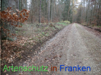 Bild zum Eintrag (1038451-177)